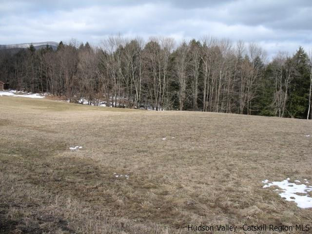 Lot34 Van Etten Road Prattsville, NY 12468 - Photo 1 of 18 Photo 1