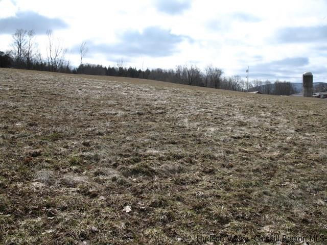 Lot34 Van Etten Road Prattsville, NY 12468 - Photo 12 of 18 Photo 12