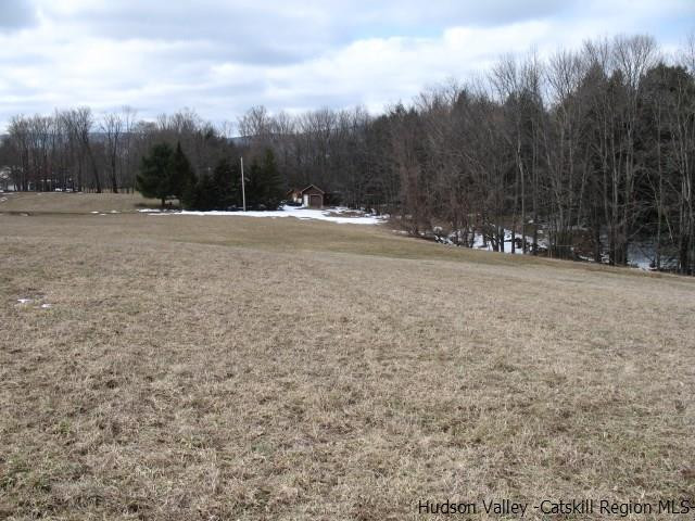 Lot34 Van Etten Road Prattsville, NY 12468 - Photo 14 of 18 Photo 14