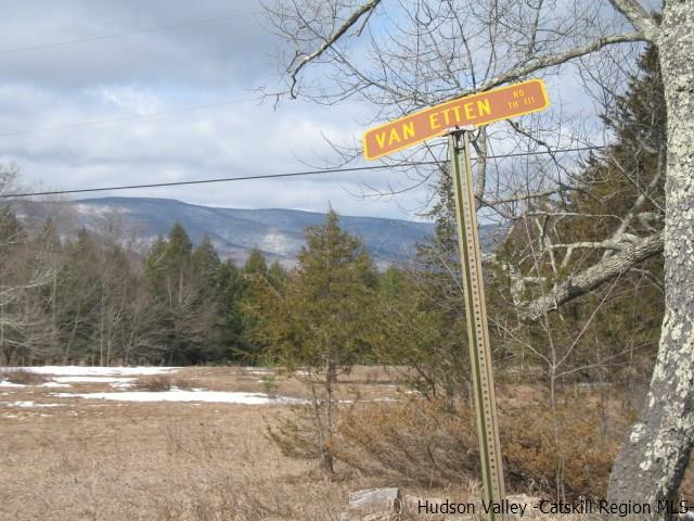 Lot34 Van Etten Road Prattsville, NY 12468 - Photo 16 of 18 Photo 16