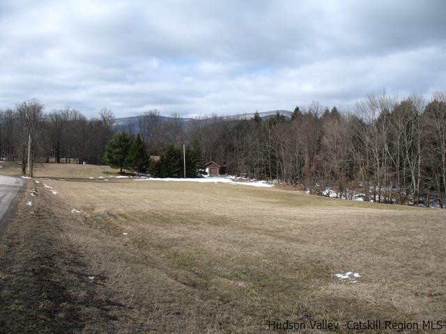 Lot34 Van Etten Road Prattsville, NY 12468 - Photo 17 of 18 Photo 17