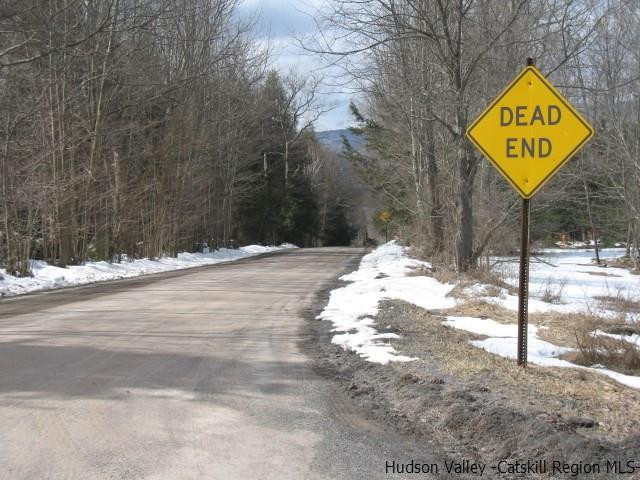 Lot34 Van Etten Road Prattsville, NY 12468 - Photo 18 of 18 Photo 18