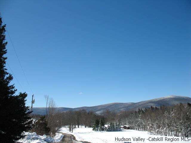 Lot34 Van Etten Road Prattsville, NY 12468 - Photo 3 of 18 Photo 3
