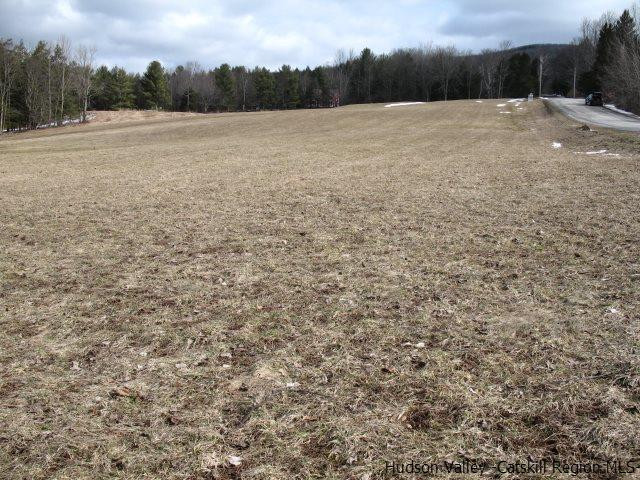 Lot34 Van Etten Road Prattsville, NY 12468 - Photo 4 of 18 Photo 4