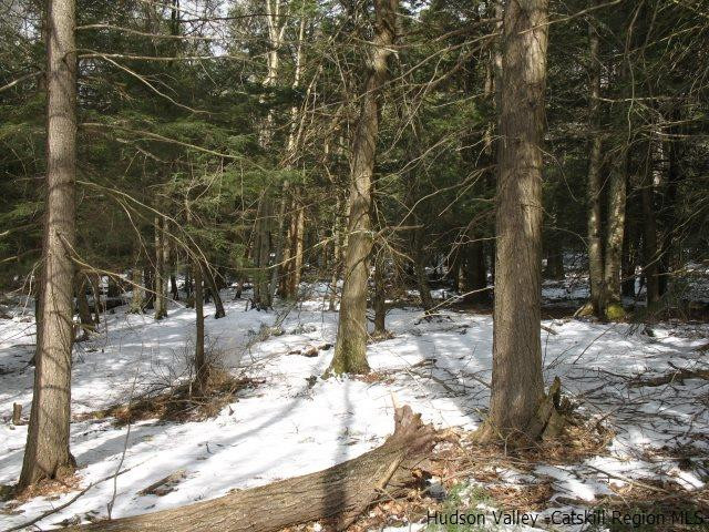 Lot34 Van Etten Road Prattsville, NY 12468 - Photo 5 of 18 Photo 5