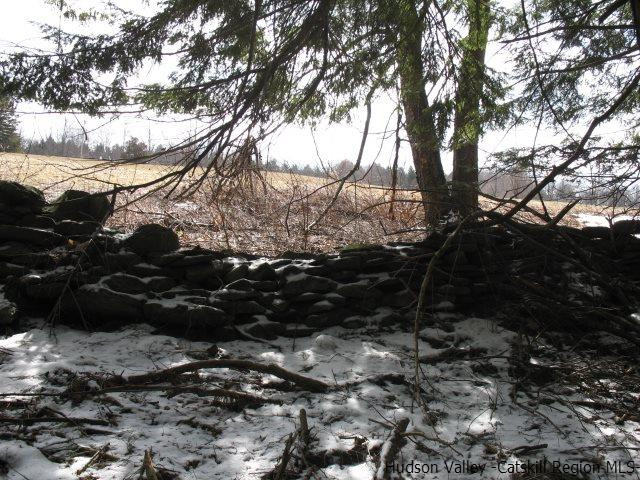 Lot34 Van Etten Road Prattsville, NY 12468 - Photo 6 of 18 Photo 6