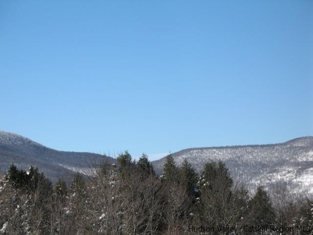Lot34 Van Etten Road Prattsville, NY 12468 - Photo 8 of 18 Photo 8