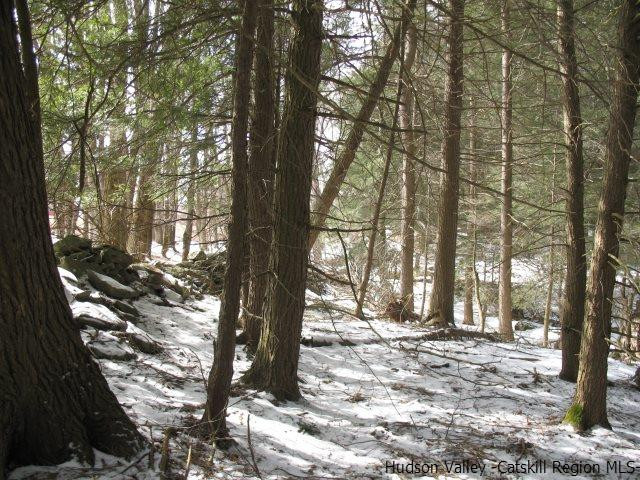 Lot34 Van Etten Road Prattsville, NY 12468 - Photo 9 of 18 Photo 9