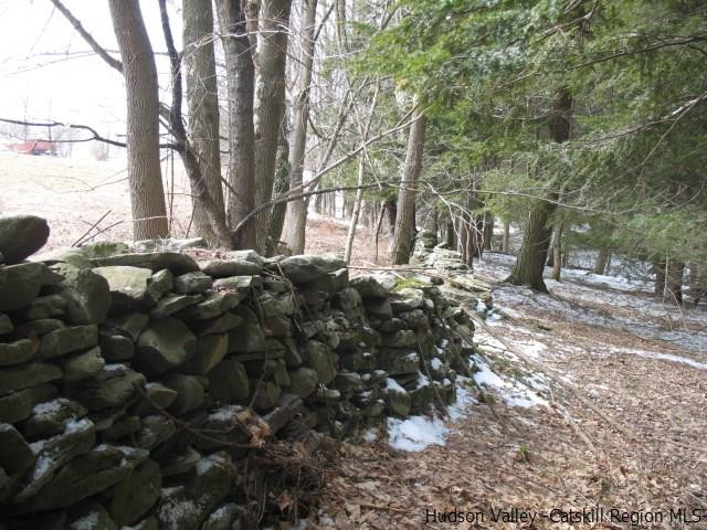 Lot34 Van Etten Road Prattsville, NY 12468 - Photo 10 of 18 Photo 10