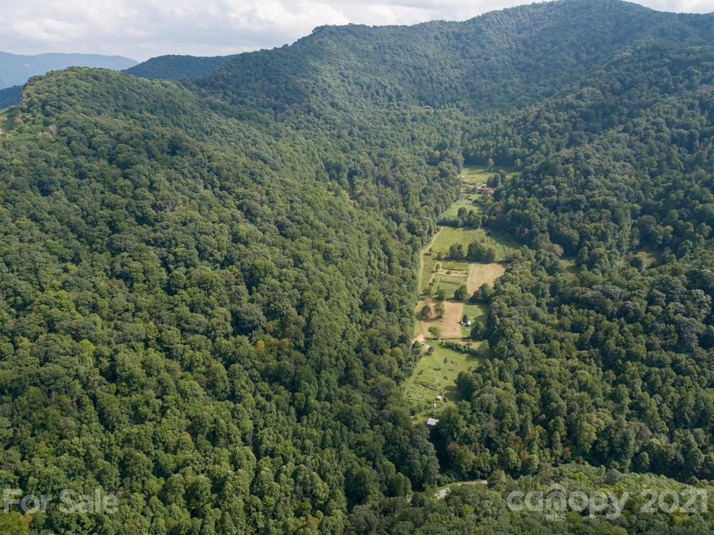 0 Beasley Cove Road Hot Springs, NC 28743 - Photo 1 of 34 Gallery Image 1