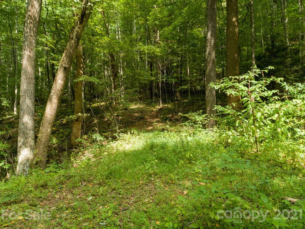 0 Beasley Cove Road Hot Springs, NC 28743 - Photo 11 of 34 Gallery Image 11