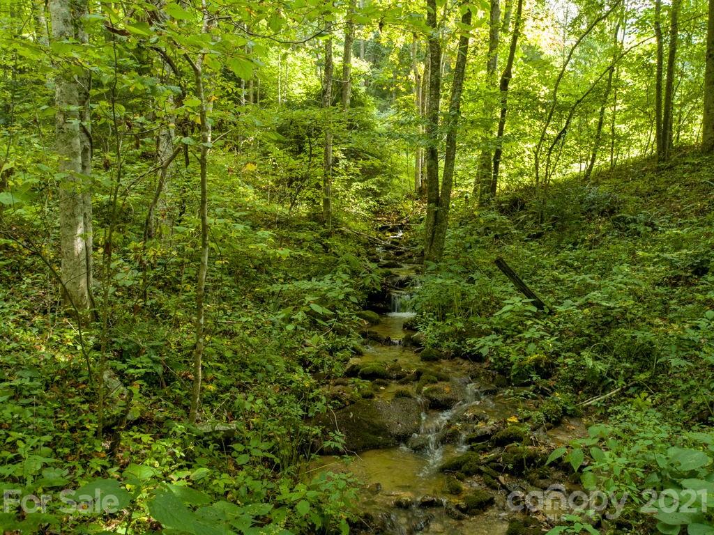 0 Beasley Cove Road Hot Springs, NC 28743 - Photo 12 of 34 Gallery Image 12