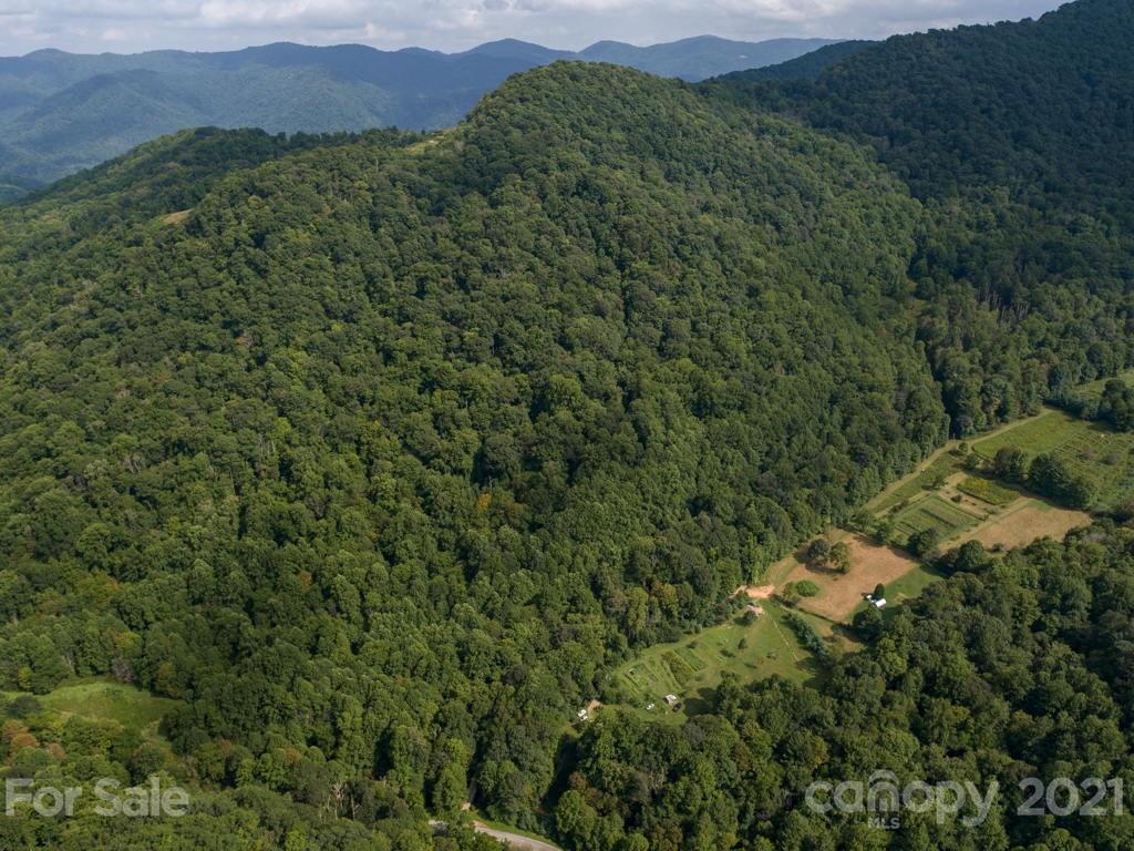 0 Beasley Cove Road Hot Springs, NC 28743 - Photo 13 of 34 Gallery Image 13