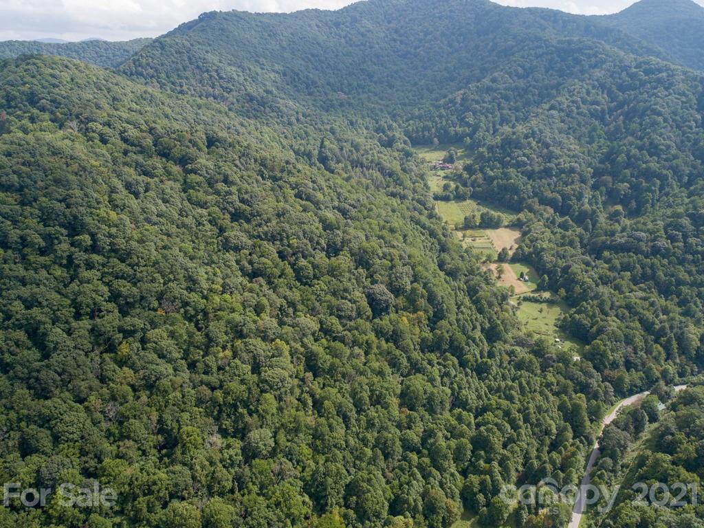 0 Beasley Cove Road Hot Springs, NC 28743 - Photo 14 of 34 Gallery Image 14