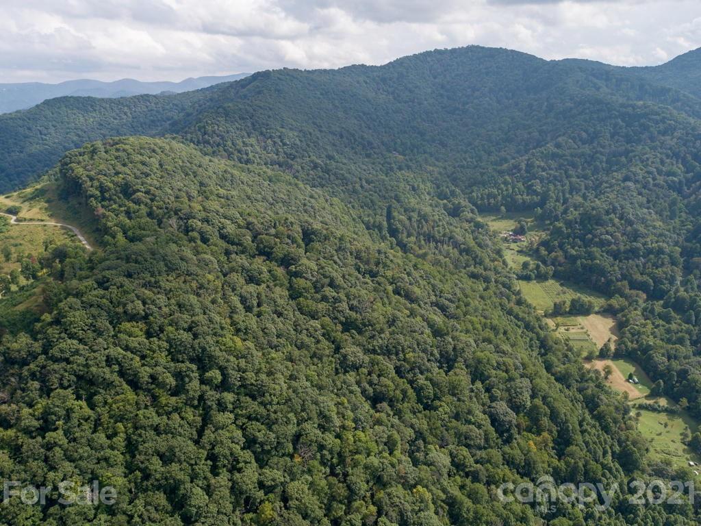 0 Beasley Cove Road Hot Springs, NC 28743 - Photo 15 of 34 Gallery Image 15
