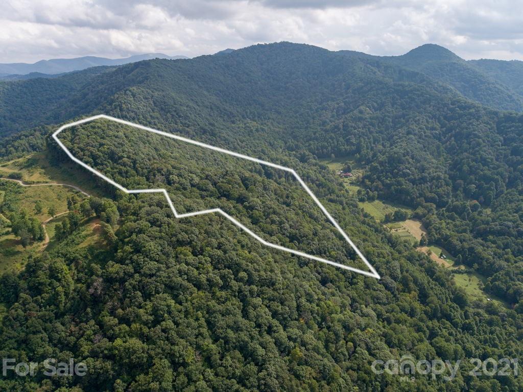 0 Beasley Cove Road Hot Springs, NC 28743 - Photo 16 of 34 Gallery Image 16