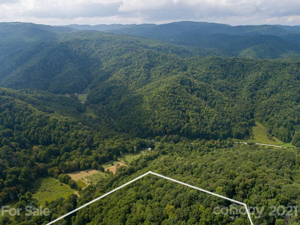 0 Beasley Cove Road Hot Springs, NC 28743 - Photo 17 of 34 Gallery Image 17