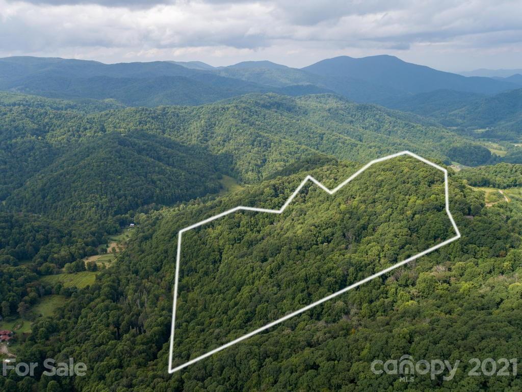 0 Beasley Cove Road Hot Springs, NC 28743 - Photo 18 of 34 Gallery Image 18