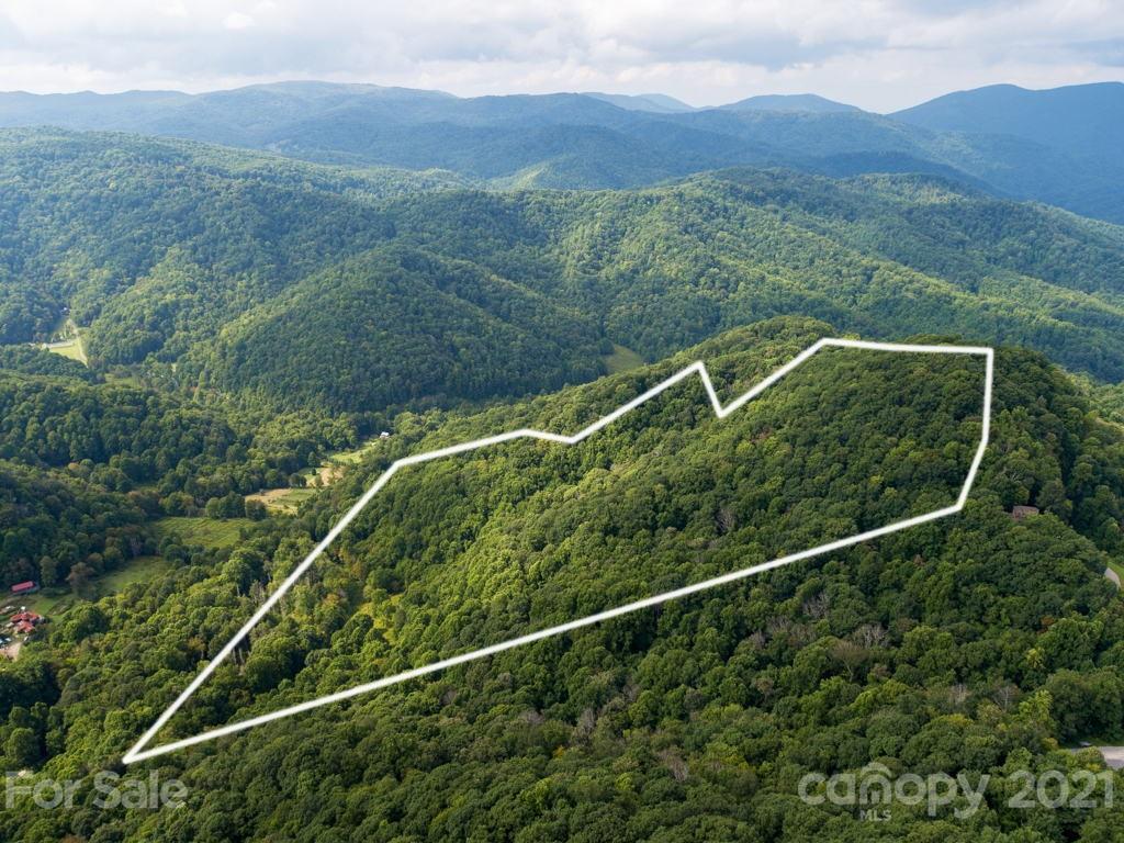 0 Beasley Cove Road Hot Springs, NC 28743 - Photo 20 of 34 Gallery Image 20