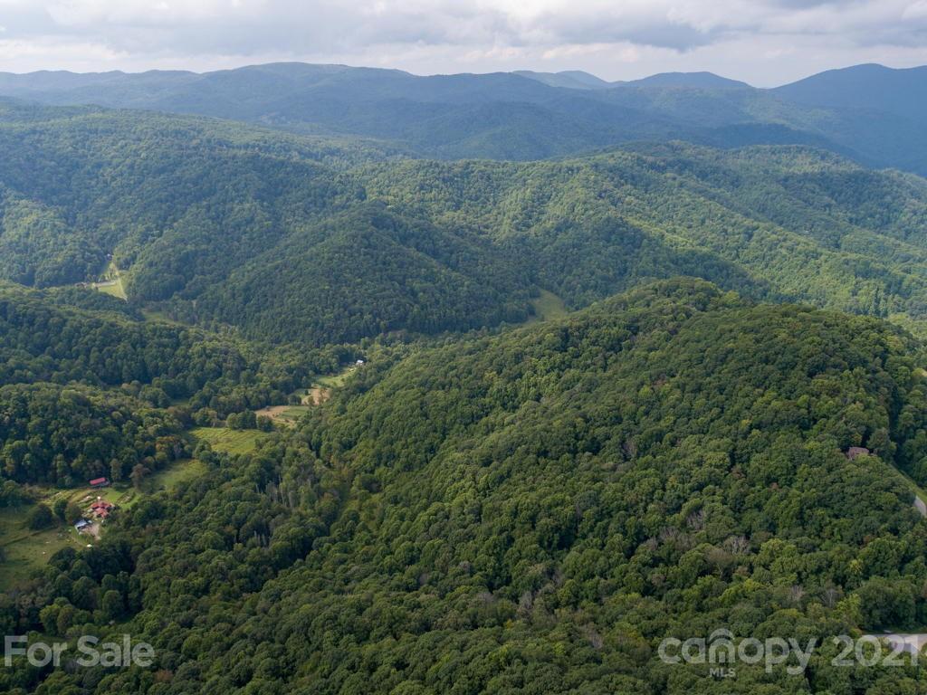 0 Beasley Cove Road Hot Springs, NC 28743 - Photo 3 of 34 Gallery Image 3