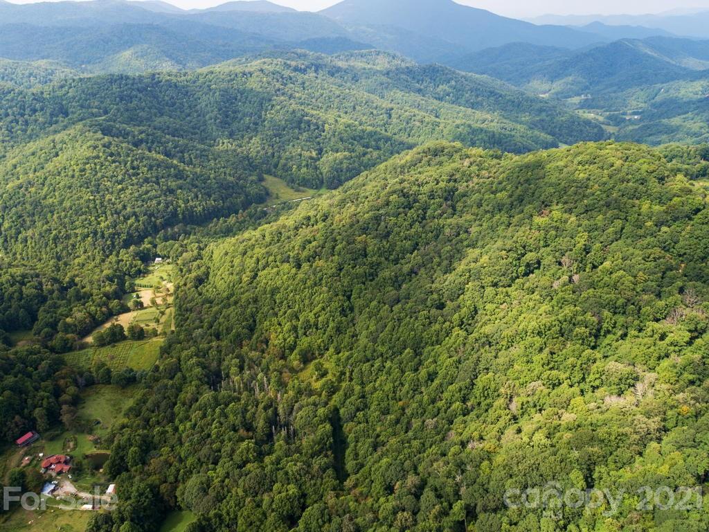 0 Beasley Cove Road Hot Springs, NC 28743 - Photo 21 of 34 Gallery Image 21