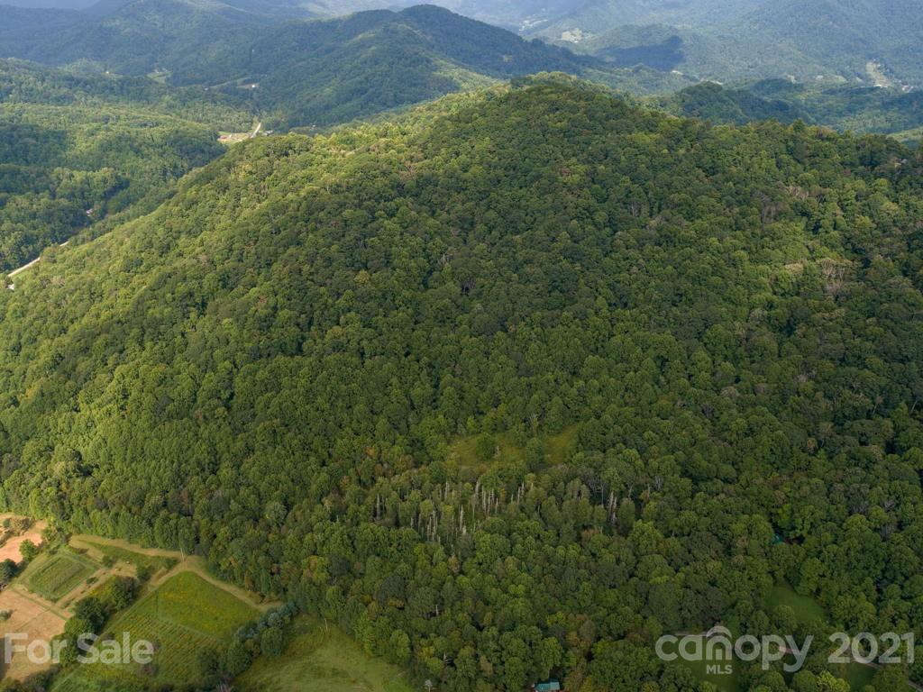 0 Beasley Cove Road Hot Springs, NC 28743 - Photo 22 of 34 Gallery Image 22