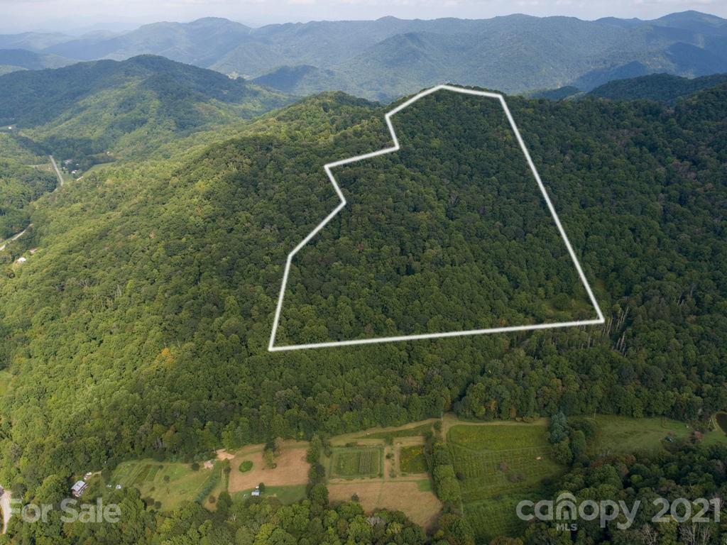 0 Beasley Cove Road Hot Springs, NC 28743 - Photo 24 of 34 Gallery Image 24