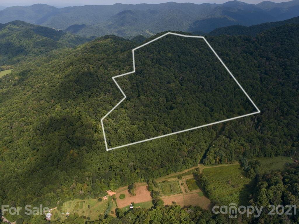 0 Beasley Cove Road Hot Springs, NC 28743 - Photo 25 of 34 Gallery Image 25
