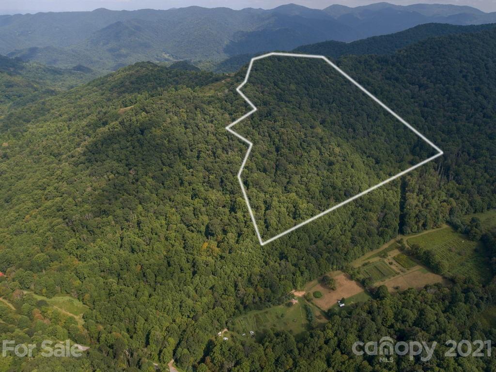0 Beasley Cove Road Hot Springs, NC 28743 - Photo 26 of 34 Gallery Image 26