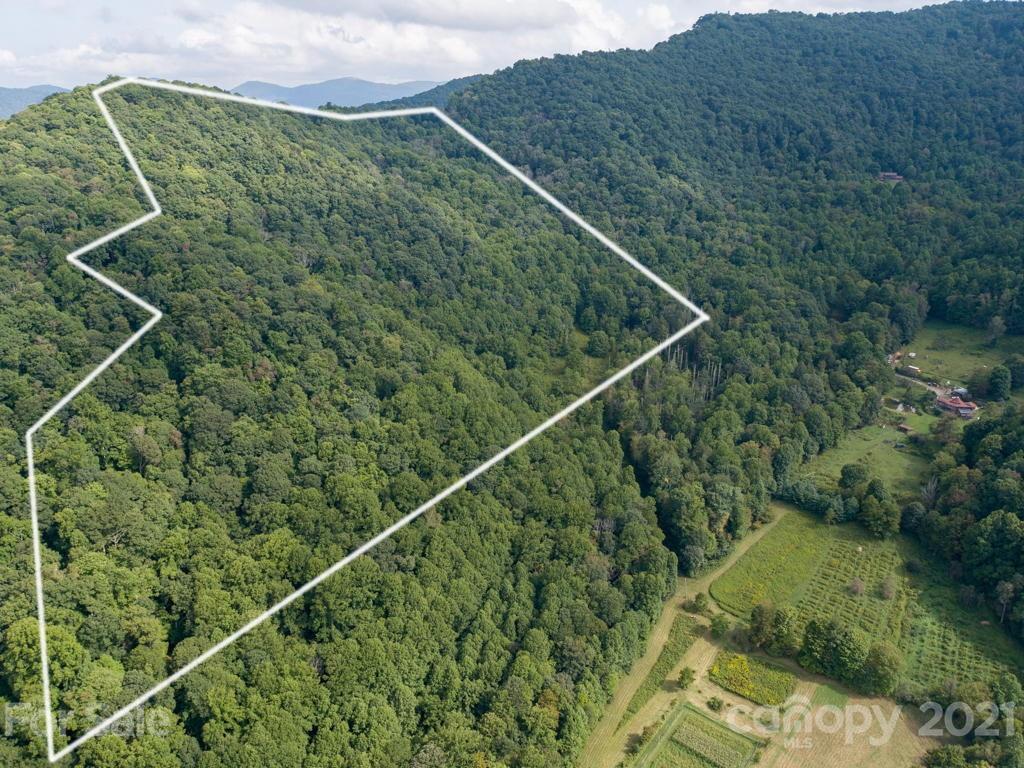 0 Beasley Cove Road Hot Springs, NC 28743 - Photo 27 of 34 Gallery Image 27