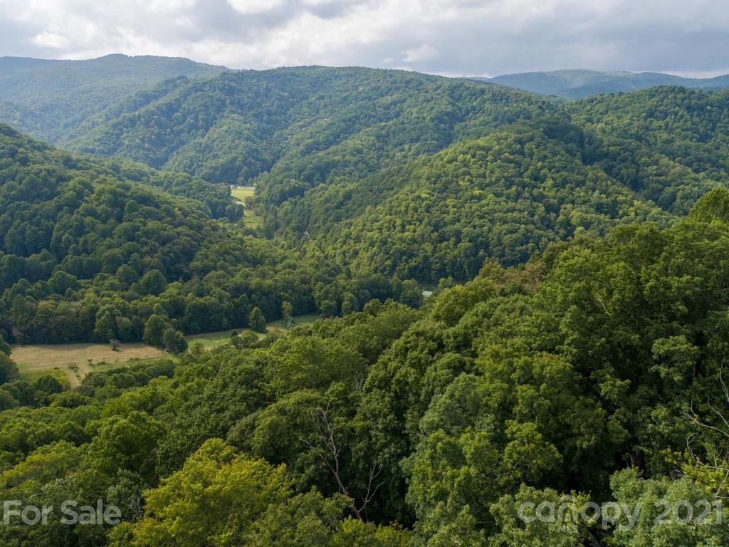 0 Beasley Cove Road Hot Springs, NC 28743 - Photo 29 of 34 Gallery Image 29