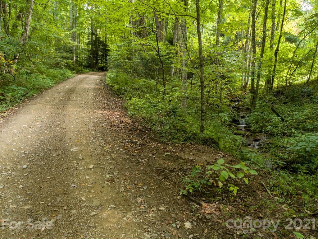 0 Beasley Cove Road Hot Springs, NC 28743 - Photo 33 of 34 Gallery Image 33