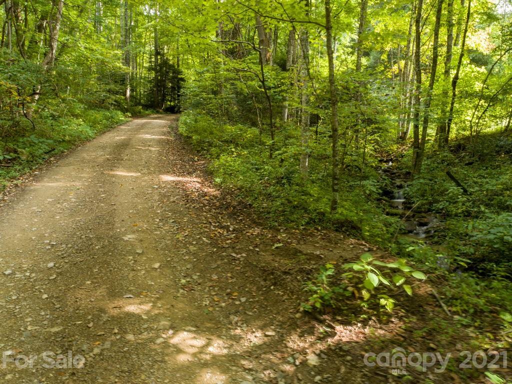 0 Beasley Cove Road Hot Springs, NC 28743 - Photo 6 of 34 Gallery Image 6