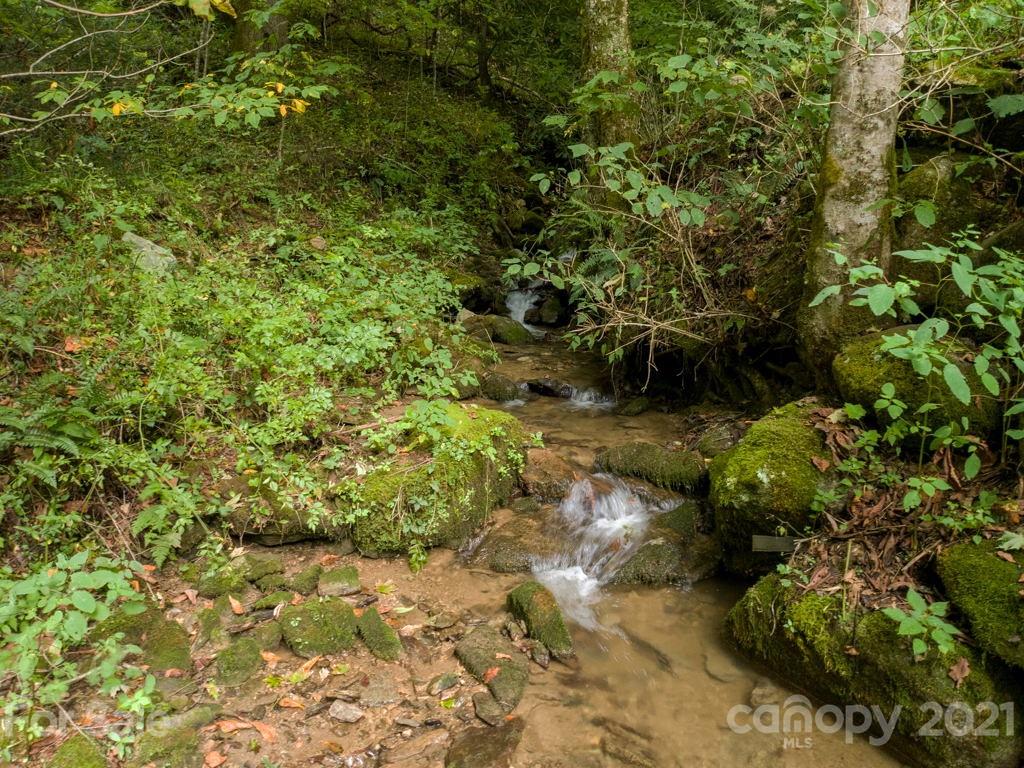 0 Beasley Cove Road Hot Springs, NC 28743 - Photo 10 of 34 Gallery Image 10