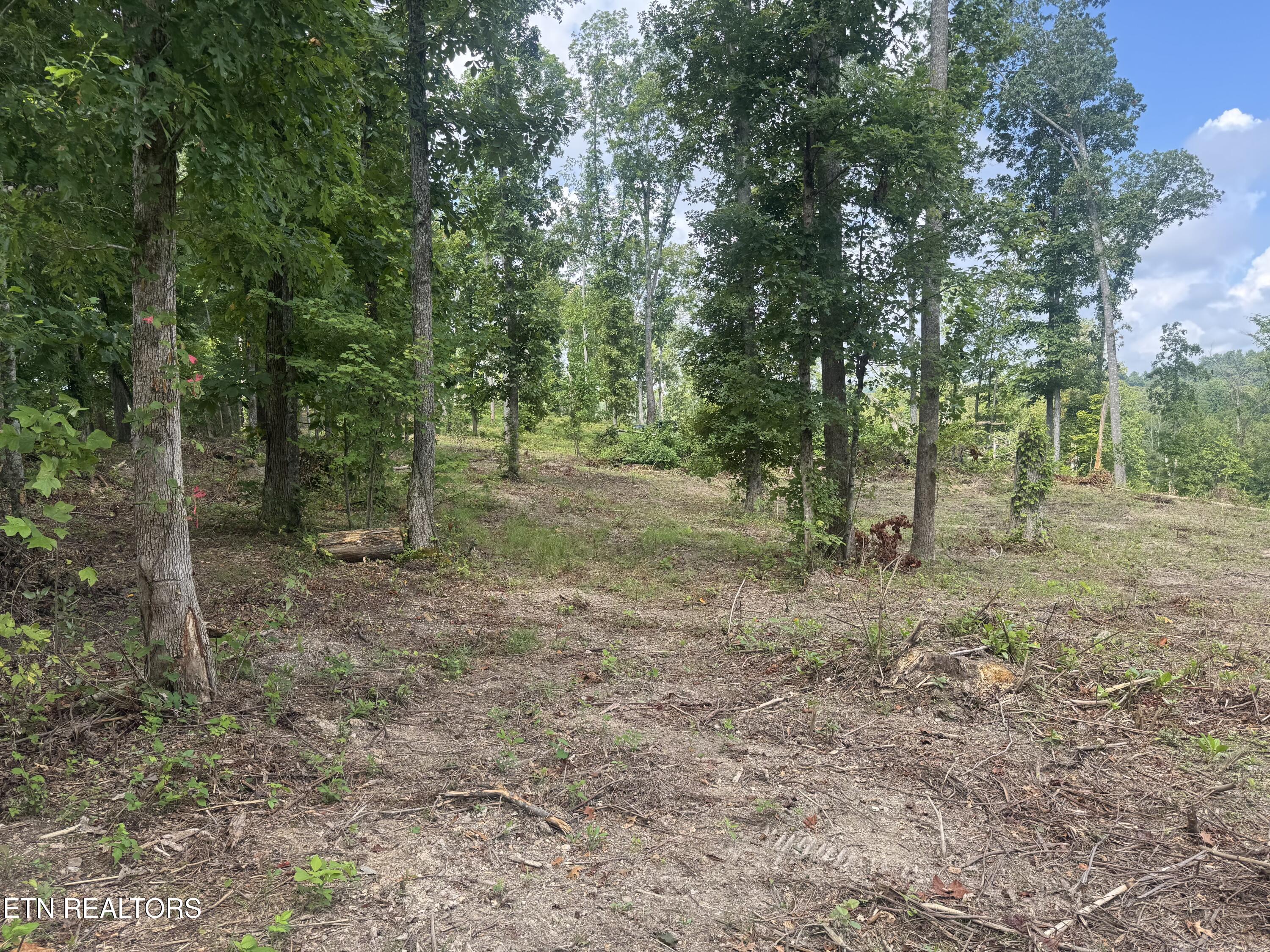 2 Mill Creek Road Andersonville, TN 37705 - Photo 12 of 29 IMG_0957