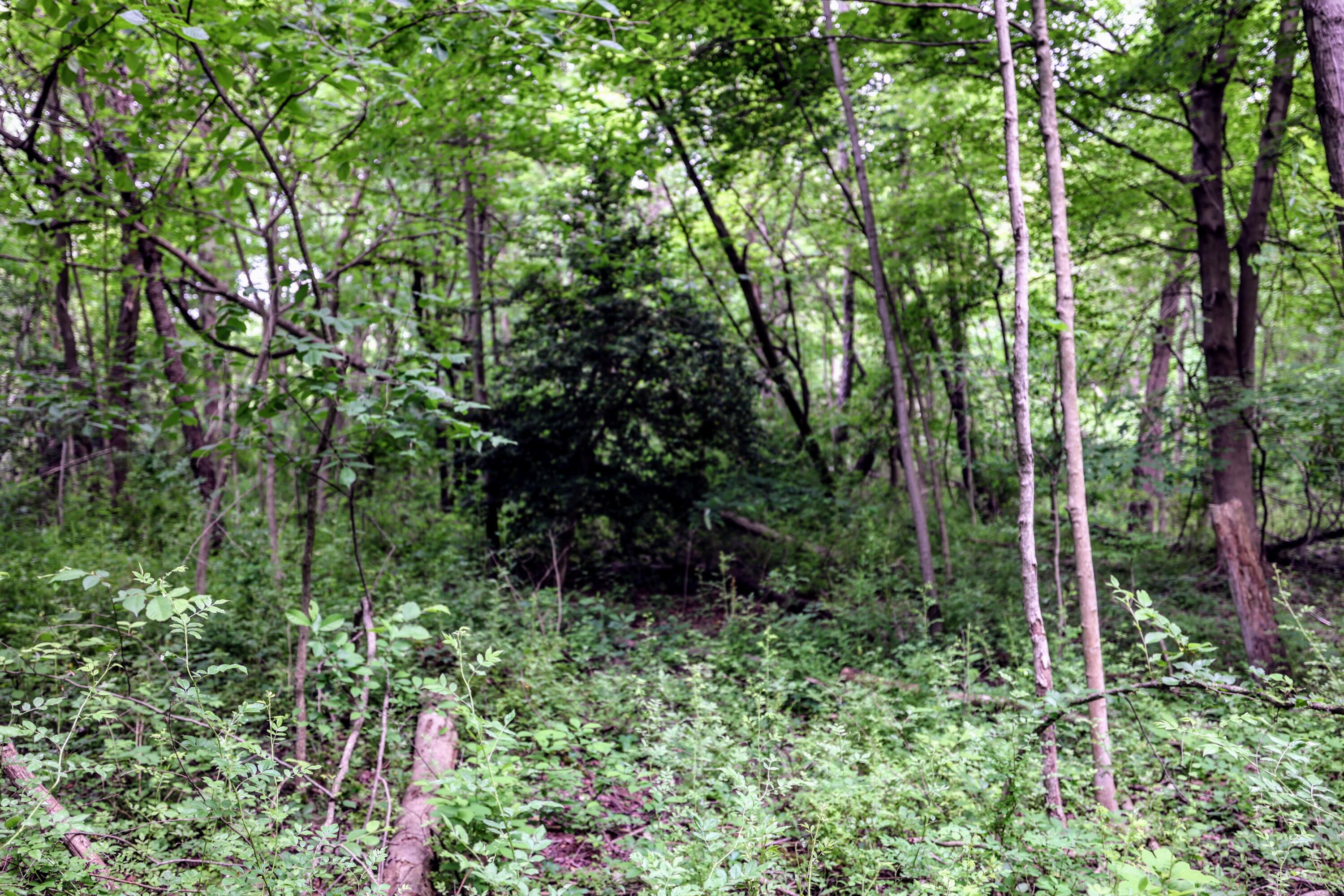 Vl Black River Road Bangor, MI 49013 - Photo 46 of 54 46