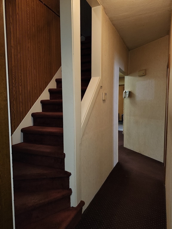 6 Pioneer Road Worcester, MA 01604 - Photo 28 of 39 Gallery Image 28