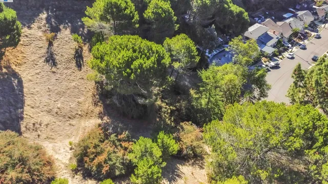 a close up of a flower in a garden