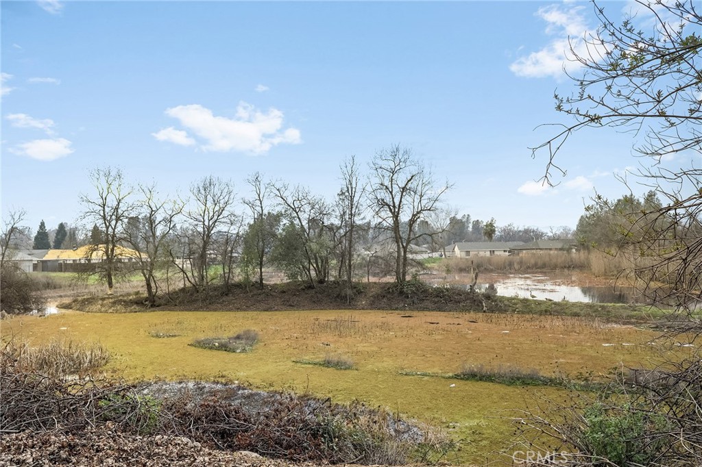 7420 Platinum Way Redding, CA 96001 - Photo 51 of 65