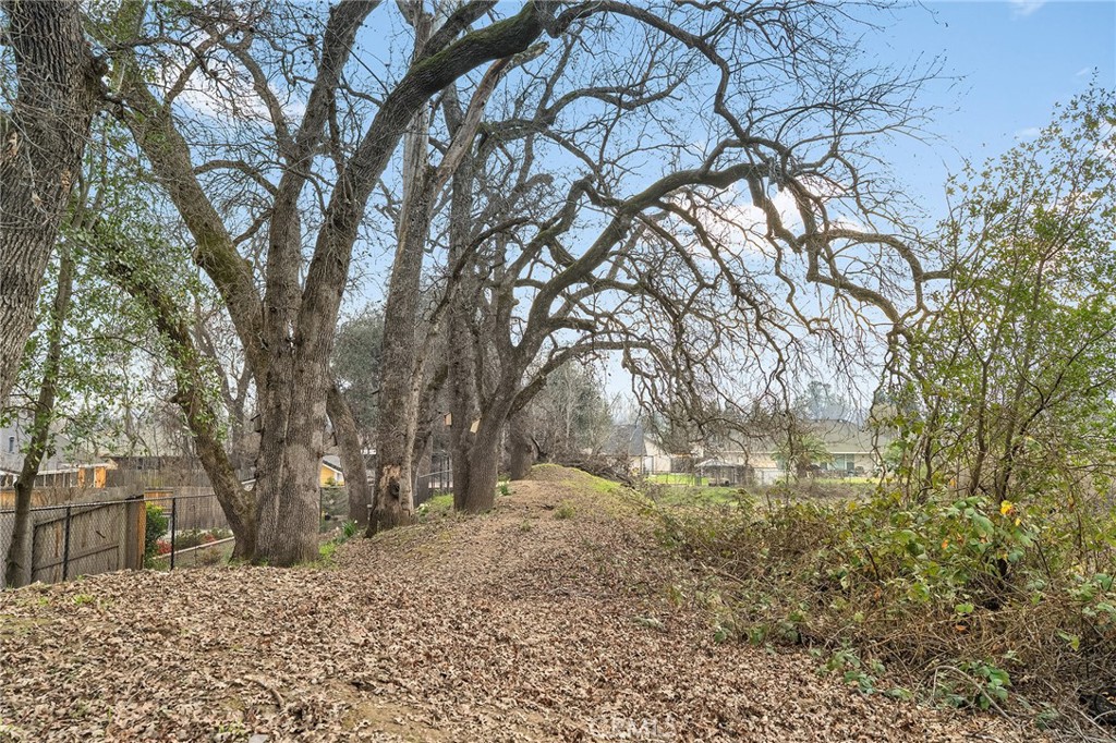 7420 Platinum Way Redding, CA 96001 - Photo 52 of 65