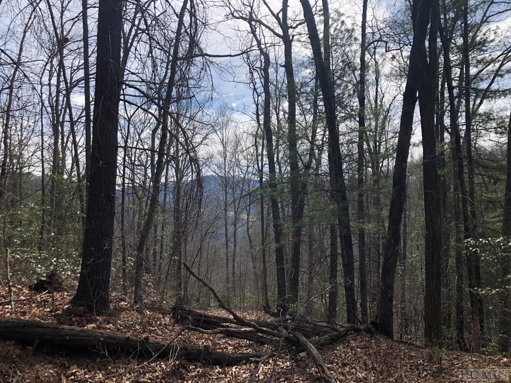 0 Pine Creek Road Cullowhee, NC 28723 - Photo 4 of 9 Gallery Image 4