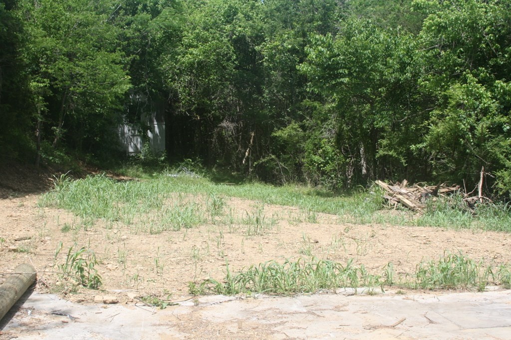 1566 Parrotts Chapel Road Sevierville, TN 37876 - Photo 17 of 32 Gallery Image 17