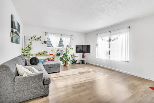 a living room with furniture a flat screen tv and a potted plant