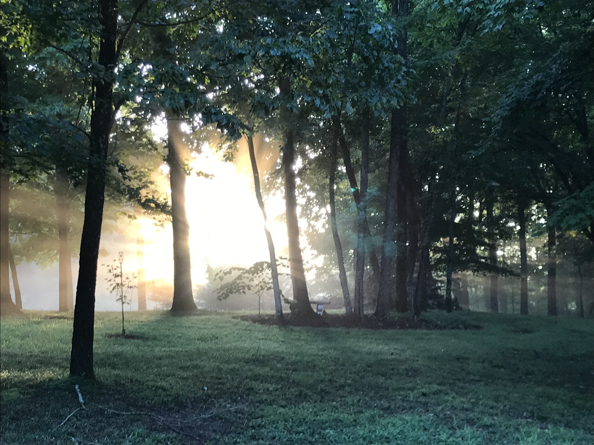 1765 Sugar Ridge Road Spring Hill, TN 37174 - Photo 4 of 44