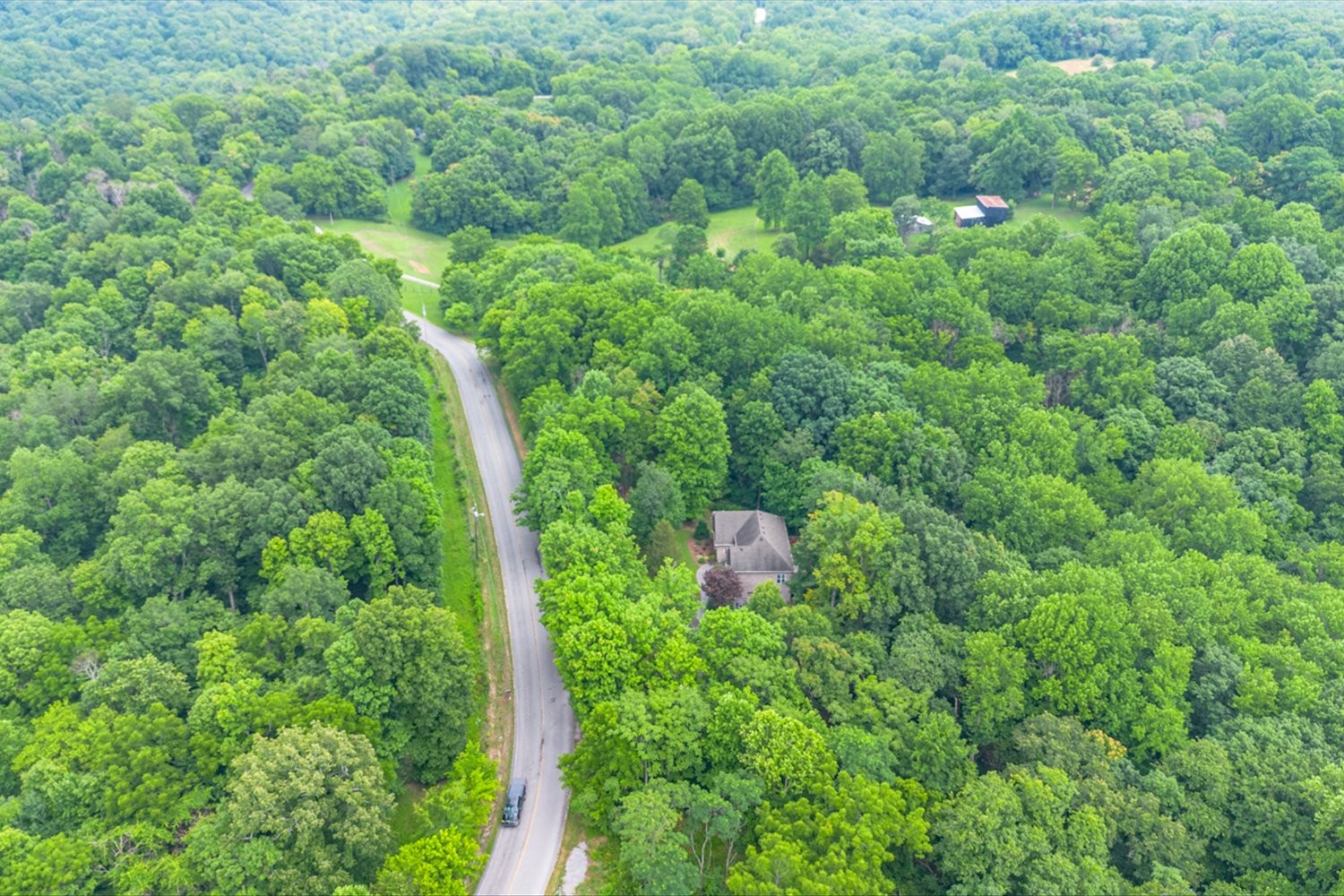 1765 Sugar Ridge Road Spring Hill, TN 37174 - Photo 44 of 44 a view of a lush green forest with lots of trees