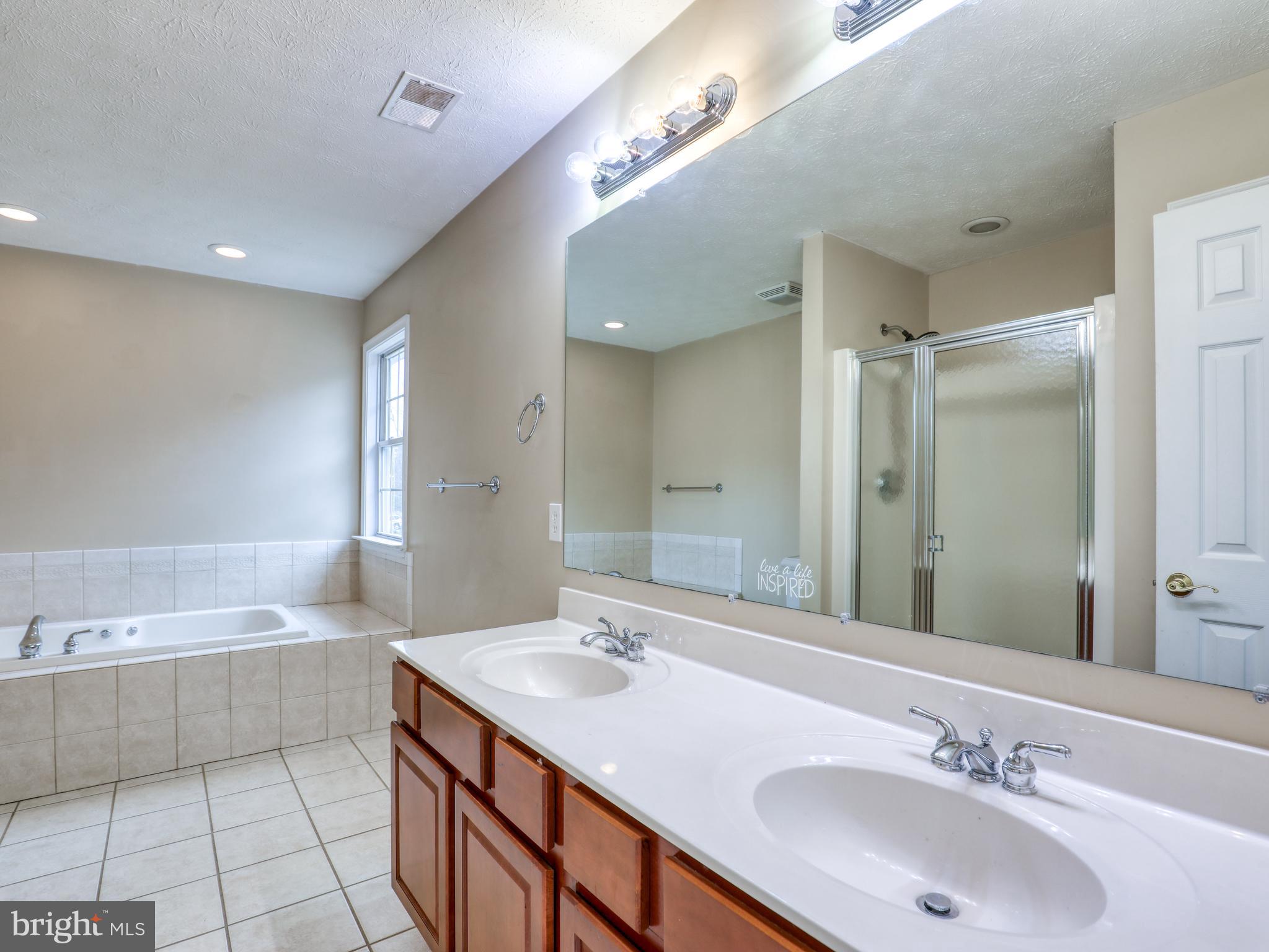 2333 Dominion Road Gerrardstown, WV 25420 - Photo 21 of 36 Primary bathroom
