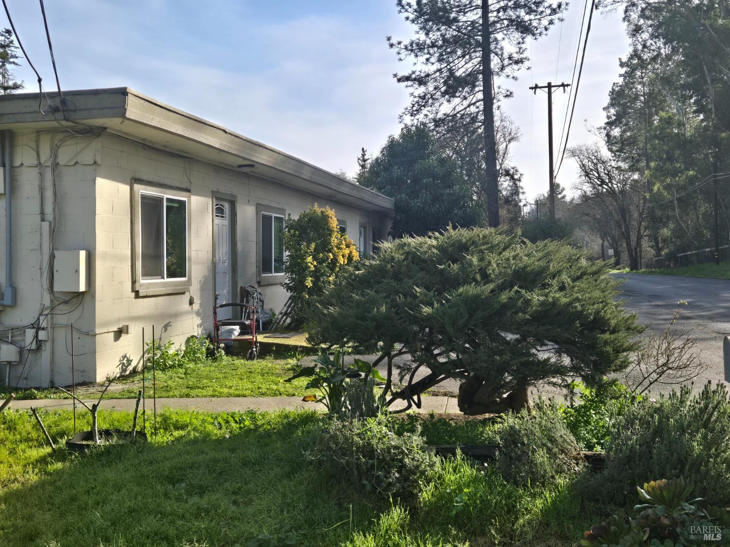 41-55 Sparkes Road, Unit 8 Sebastopol, CA 95472 - Photo 5 of 5