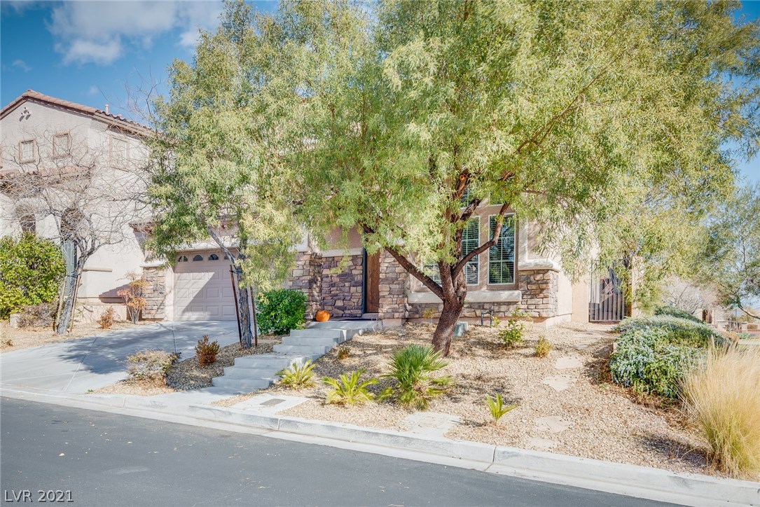 564 Delta Rio Street Las Vegas, NV 89138 - Photo 3 of 43 Gallery Image 3