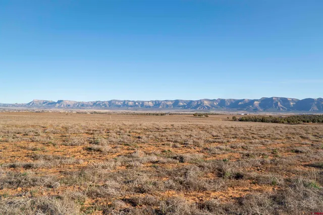 a view of city and mountain