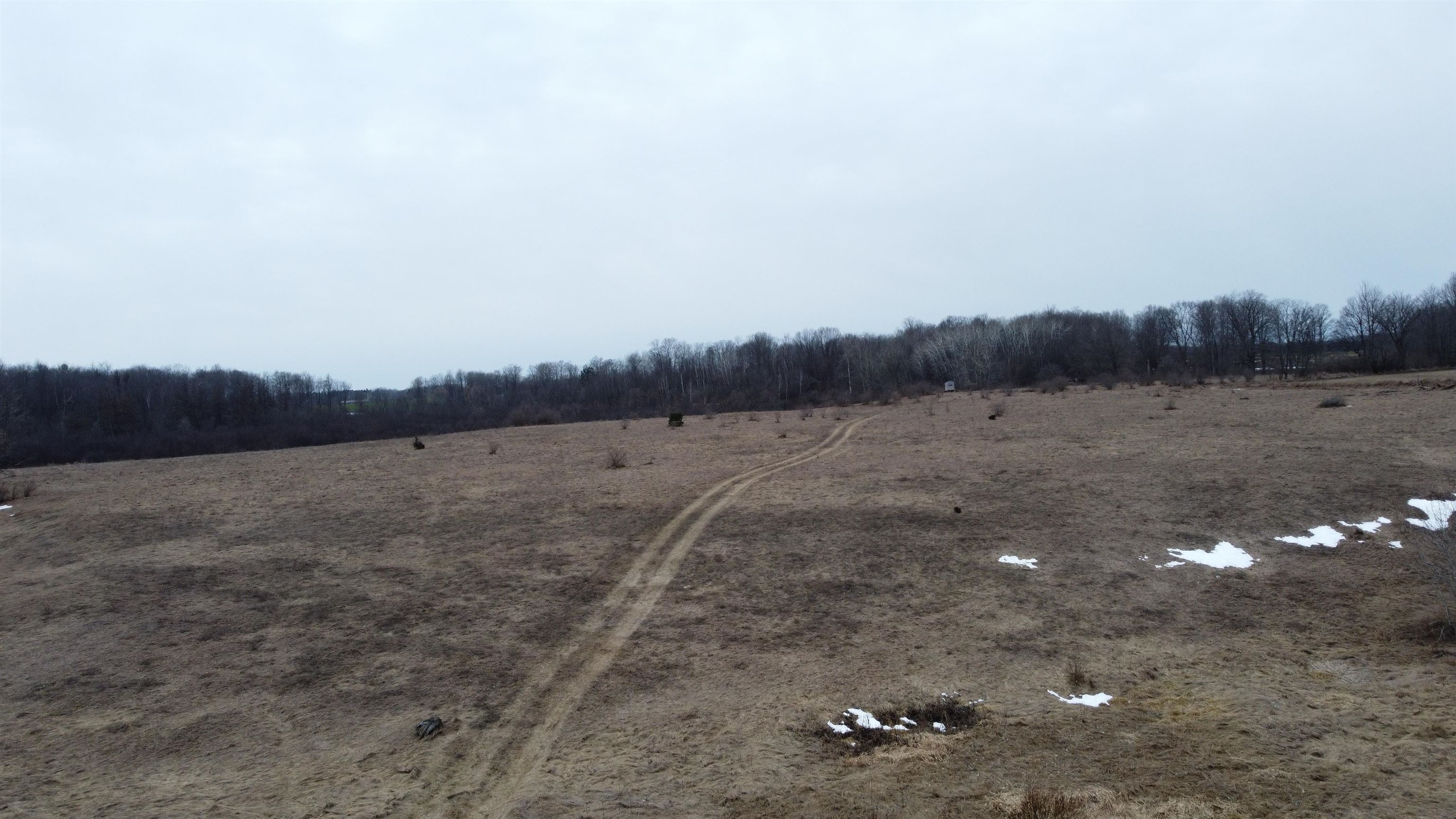 X McCauley Road West Branch, MI 48661 - Photo 9 of 27